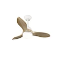 small Ceiling Fans